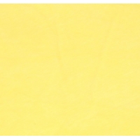Linkstar fleecedoek FD-105 3 x 6 m geel